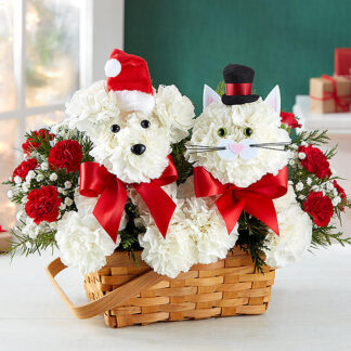 Playful Paws for Holiday