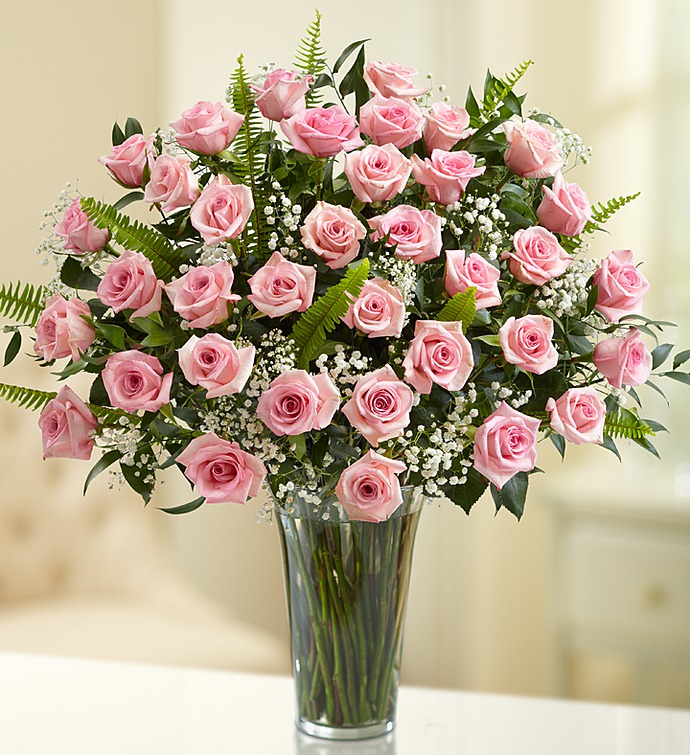 Ultimate Elegance Premium Long Stem Pink Roses will substitute with splash roses