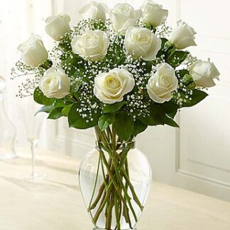 White Playa Blanca Roses
