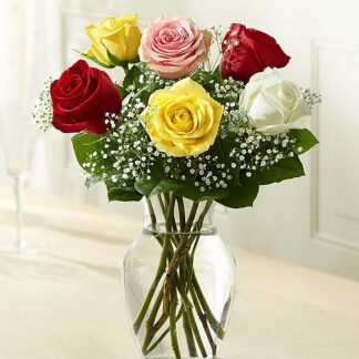 A Love's Embrace Roses - Assorted