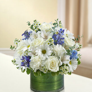 Cherished Memories - Blue and White