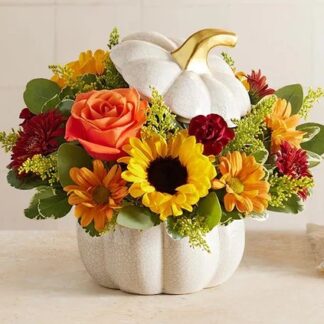 Autumn White Pumpkin