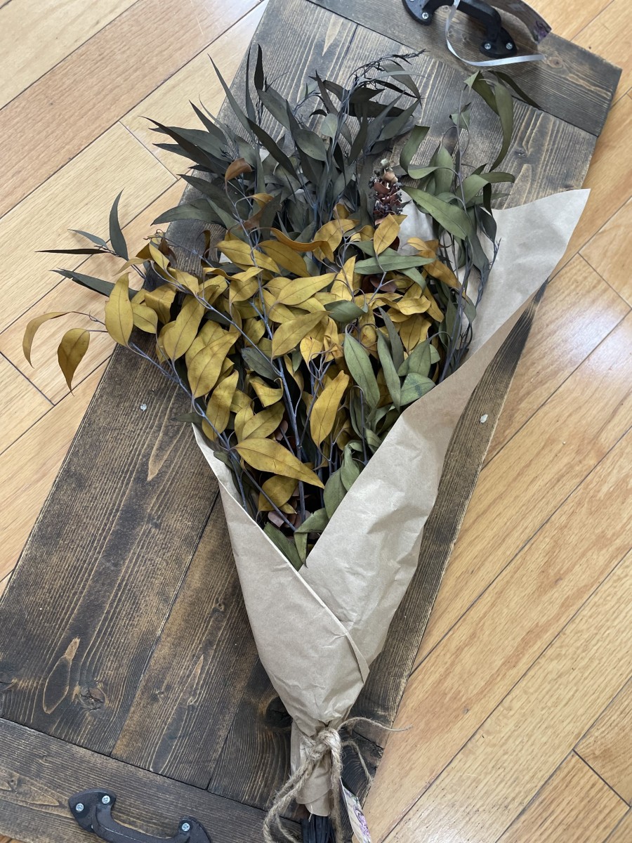 dried eucalyptus leaves