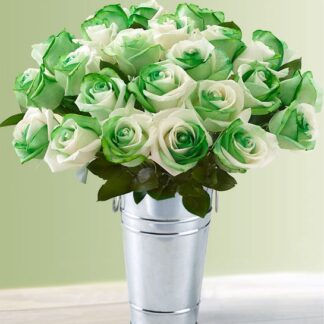St. Patrick's Day Roses