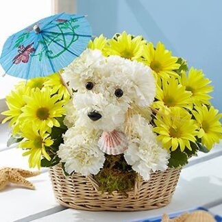 Tropical A-Dog-Able
