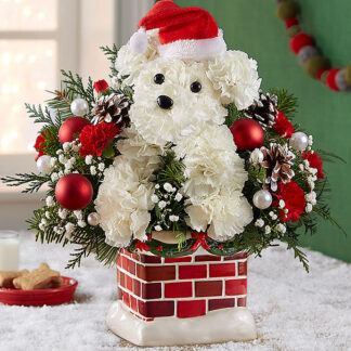 Santa Paws Ceramic