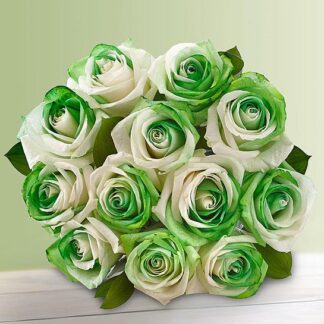 St. Patrick's Roses