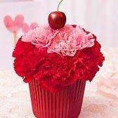A Sweetest Cup Cake
