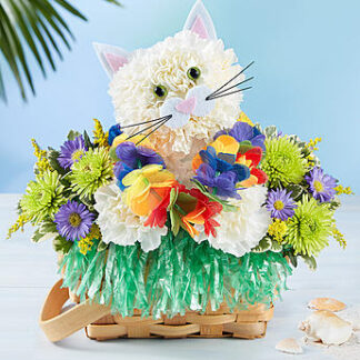 Luau Kitty